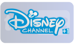┃FR┃ DISNEY CHANNEL +1 FHD